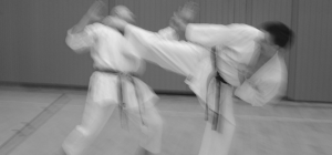 Ura-Mawashi-Geri Yodan